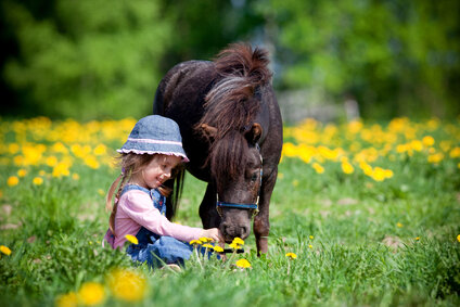 shutterstock5_95892520