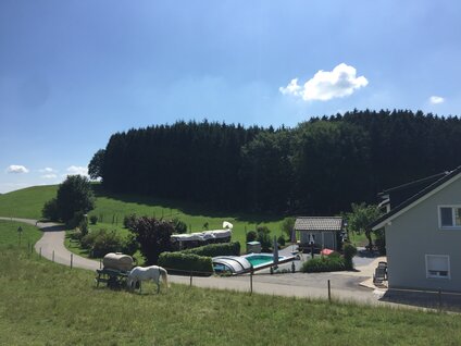IMG_8619