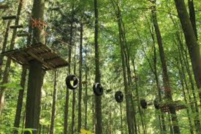 Kletterpark Tannenbühl KLetterpark_Tannenbuehl